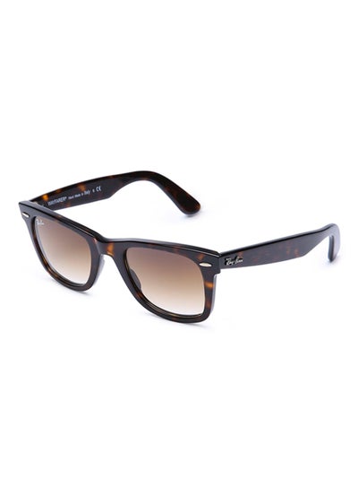 Wayfarer Sunglasses