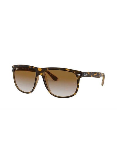 Wayfarer Sunglasses