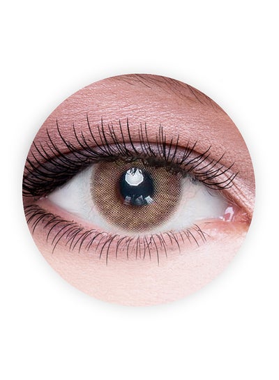 Cat Eye (Light Brown) 9 Months Contact Lenses