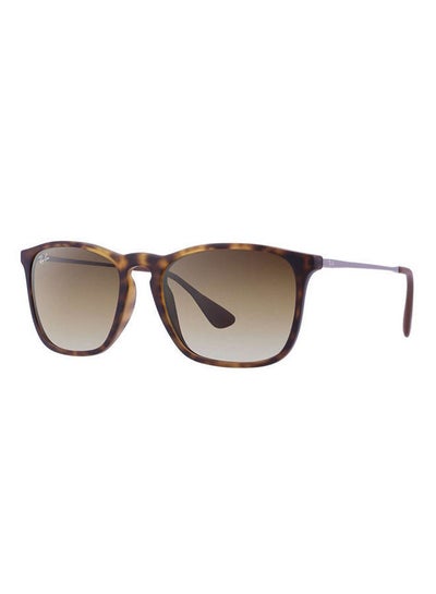 Wayfarer Sunglasses