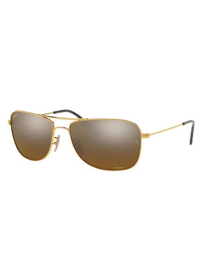 Full Rim Square Sunglasses