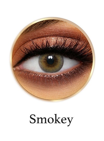 9 Months Disposable Natural and Beauty Collection Contact Lenses, Smokey Grey Honey