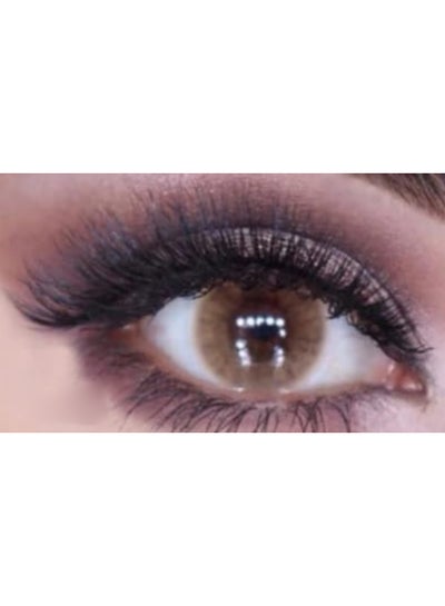 Women’s C1 Coloured Contact Lenses