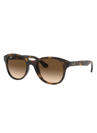 Women’s Round Sunglasses 0RB42037101351 – 45mm – Brown